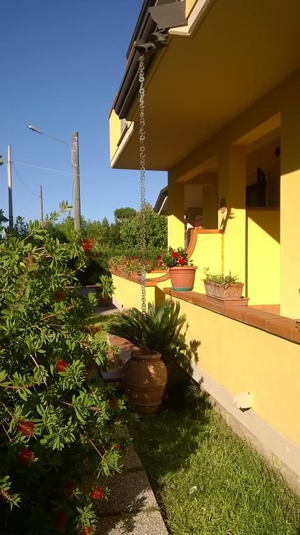 Nonna Alda Bed and Breakfast Viareggio Exterior foto