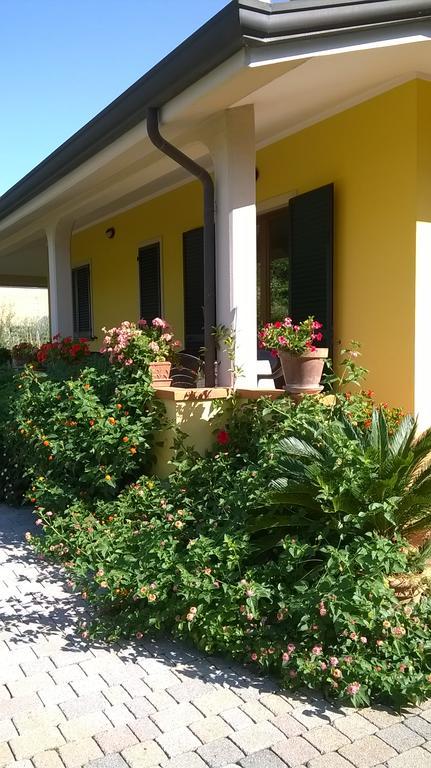 Nonna Alda Bed and Breakfast Viareggio Exterior foto