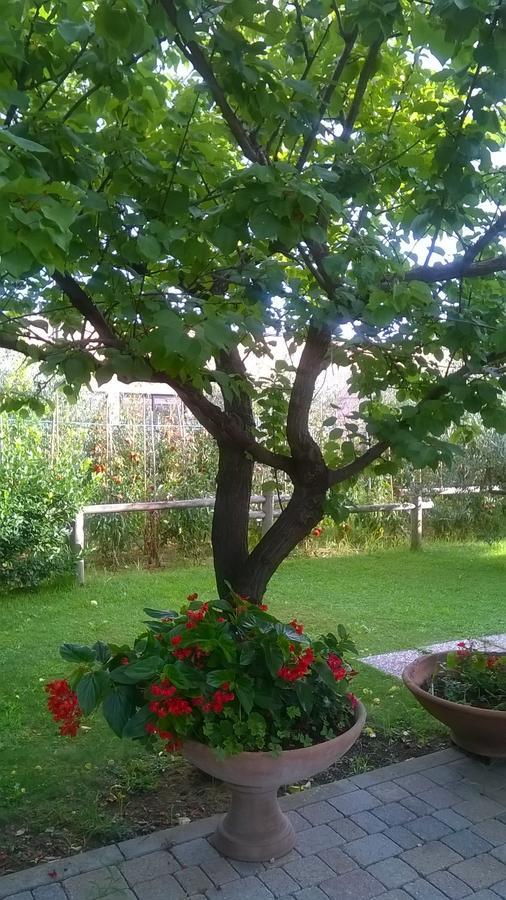 Nonna Alda Bed and Breakfast Viareggio Habitación foto